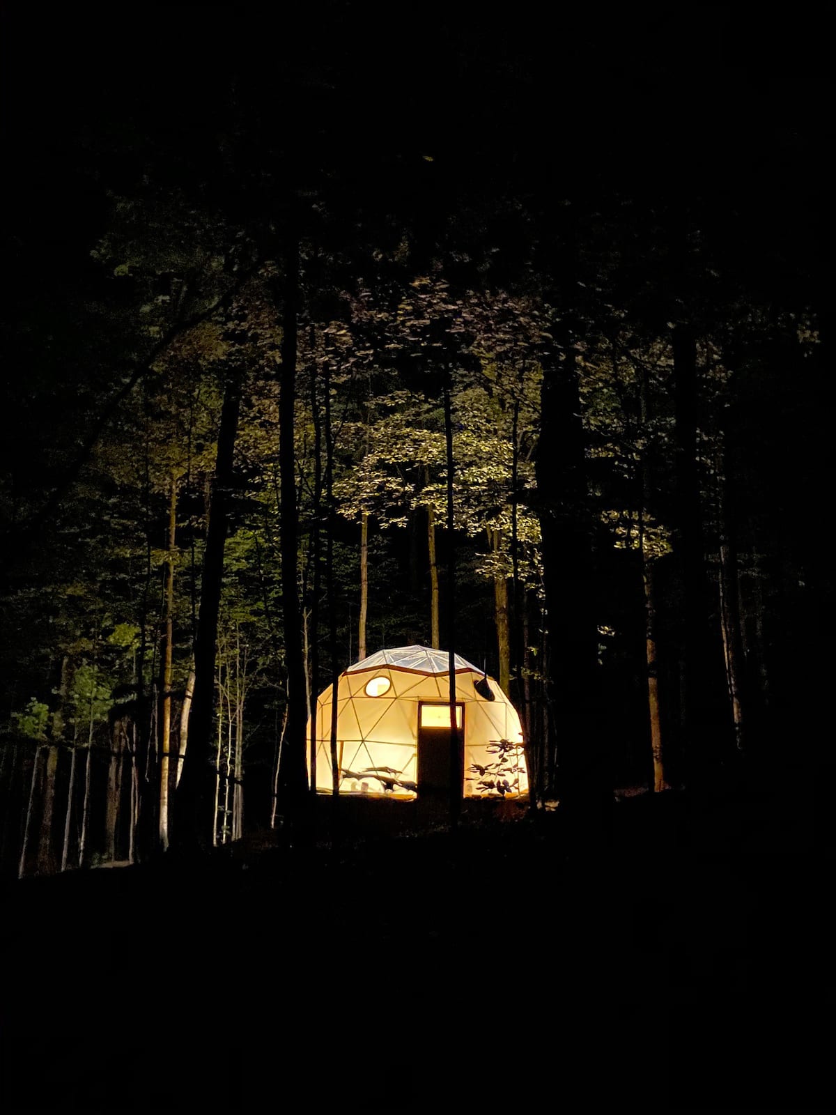 ontario cabin airbnb